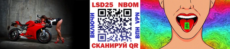 сколько стоит  Хадыженск  площадка как зайти  Марки N-bome 1,8мг 